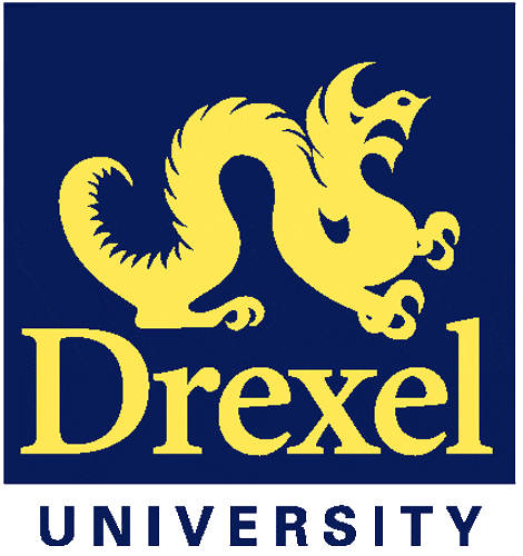 Drexel Dragons 1985-2001 Primary Logo DIY iron on transfer (heat transfer)